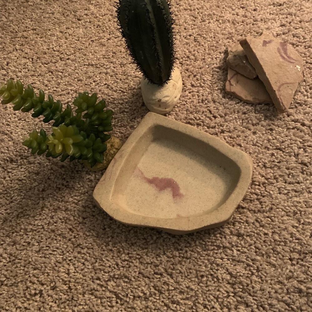 Reptile Habitat Accessories